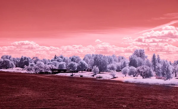 infrared image of river Daugava in RIga with city buildings. modified colors