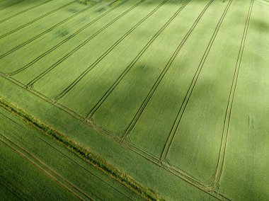 drone görüntü. yaz günü, yeşil ekili alanları ile kırsal alan hava görünümünü gölgeler bulutlar