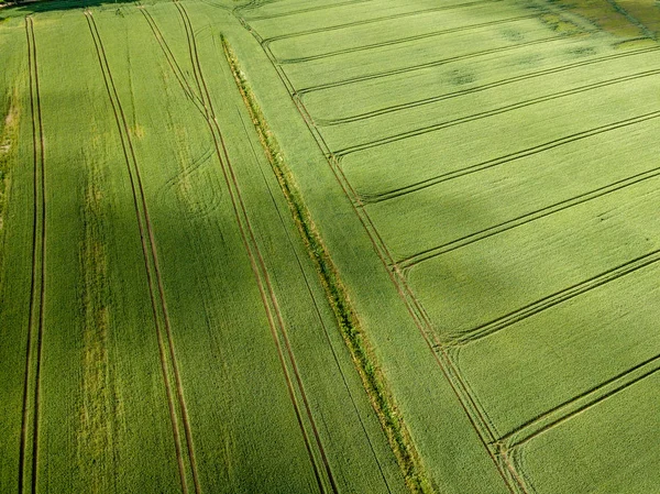 无人机图像 夏季绿色耕地的农村鸟瞰与云影 — 图库照片