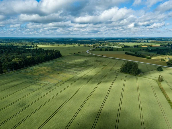 Изображение Дрона Воздушный Вид Сельской Местности Зелеными Культивируемыми Полями Летний — стоковое фото