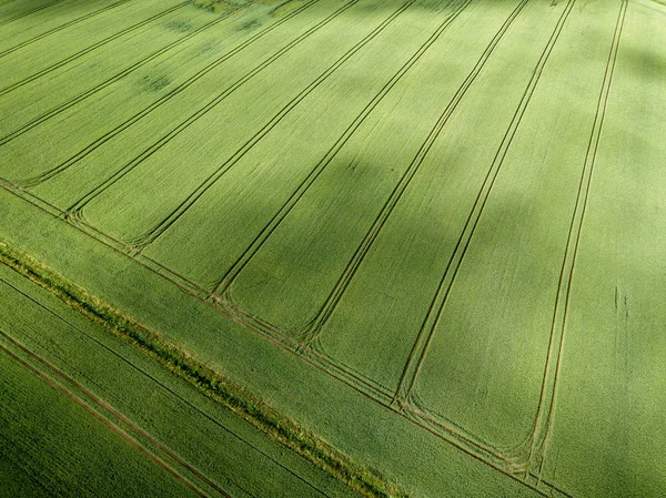 Drone Obrazu Widok Lotu Ptaka Obszarów Wiejskich Zielonych Pól Uprawnych — Zdjęcie stockowe