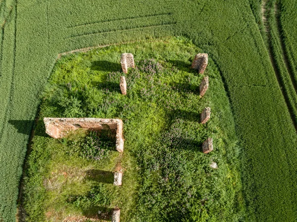 drone image. aerial view of rural area with green cultivated fields and old abandoned building ruins in the middle in summer day. Latvia, Sigulda municipality