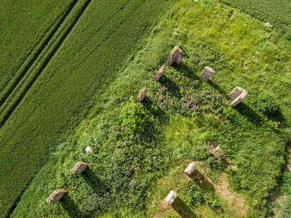 Κηφήνας Εικόνα Αεροφωτογραφία Του Αγροτική Περιοχή Πράσινο Καλλιεργούμενα Χωράφια Και — Φωτογραφία Αρχείου