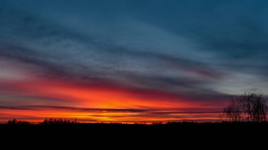 ormandaki sakin ülke yan ağaçlar üzerinde dramatik gündoğumu. Letonya