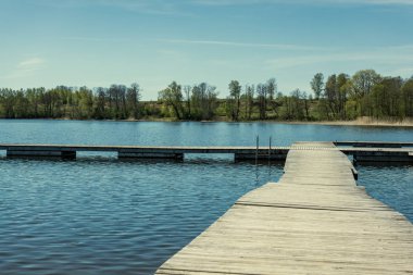 güzel bir akşam güneş ışığı yaz bataklık yeşil yaprakları ile bataklıkta ahşap patika. perspektif görünümü ahşap tahta