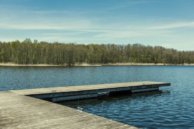 güzel bir akşam güneş ışığı yaz bataklık yeşil yaprakları ile bataklıkta ahşap patika. perspektif görünümü ahşap tahta