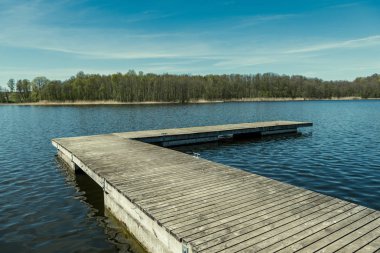 güzel bir akşam güneş ışığı yaz bataklık yeşil yaprakları ile bataklıkta ahşap patika. perspektif görünümü ahşap tahta
