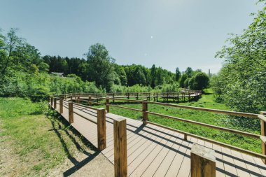 güzel bir akşam güneş ışığı yaz bataklık yeşil yaprakları ile bataklıkta ahşap patika. perspektif görünümü ahşap tahta