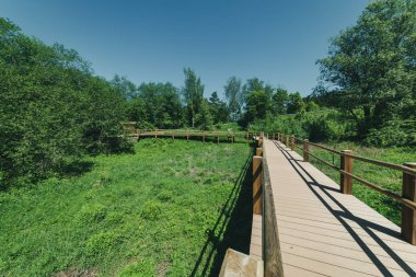 ahşap patika boardwalk bataklık bataklık alan
