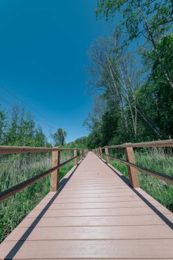 güzel bir akşam güneş ışığı yaz bataklık yeşil yaprakları ile bataklıkta ahşap patika. Boardwalk perspektif içinde görüntülemek - dikey, hareket eden aygıt hazır görüntü