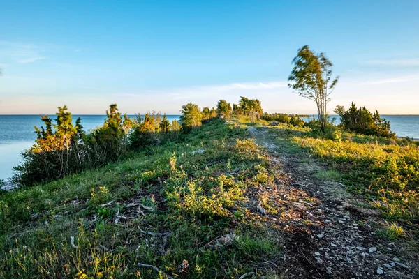 Lever Soleil Spectaculaire Sur Mer Baltique Avec Plage Rocheuse Arbres — Photo