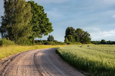 Yaz aylarında köy çakıl yol kırsal etrafında ağaçlar ve bulutlar gökyüzünde