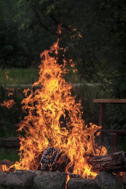 Woods şömine, sıcak, ısı yanıyor, karanlıkta ateş. Yaz aylarında doğada kamp