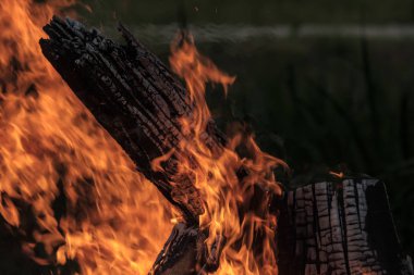 Woods şömine, sıcak, ısı yanıyor, karanlıkta ateş. Yaz aylarında doğada kamp