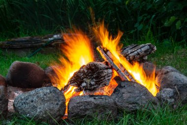 Woods şömine, sıcak, ısı yanıyor, karanlıkta ateş. uzun pozlama görüntü hareket ile bulanıklık. Yaz aylarında doğada kamp