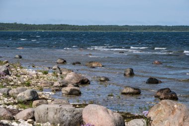 kayalık deniz plaj denize güneşli gökyüzü ve dalgalar ile geniş açı bakış açısı ile