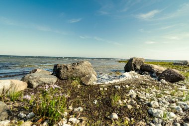 kayalık deniz plaj denize güneşli gökyüzü ve dalgalar ile geniş açı bakış açısı ile