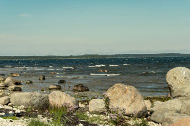 kayalık deniz plaj denize güneşli gökyüzü ve dalgalar ile geniş açı bakış açısı ile