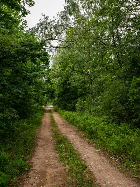 Prosté Venkovské Štěrková Cesta Létě Krajině Stromy Kolem Mraky Obloze — Stock fotografie