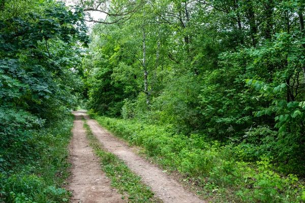 Eenvoudig Grind Landweg Zomer Het Platteland Met Bomen Rond Wolken — Stockfoto