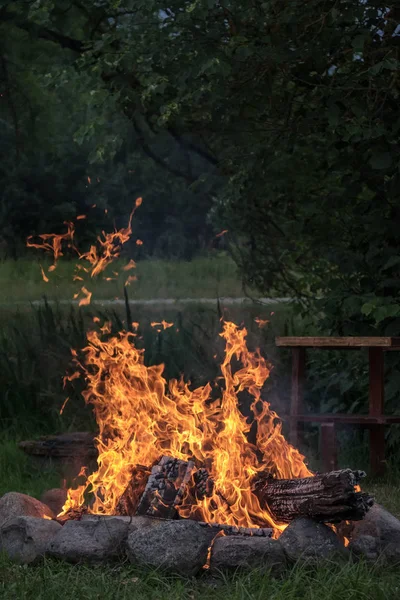 Woods Burning Fireplace Warm Heat Fire Darkness Camping Nature Summer — Stock Photo, Image