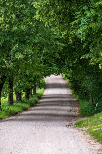 Campo Sencillo Camino Grava Verano Campo Con Árboles Alrededor Nubes — Foto de Stock