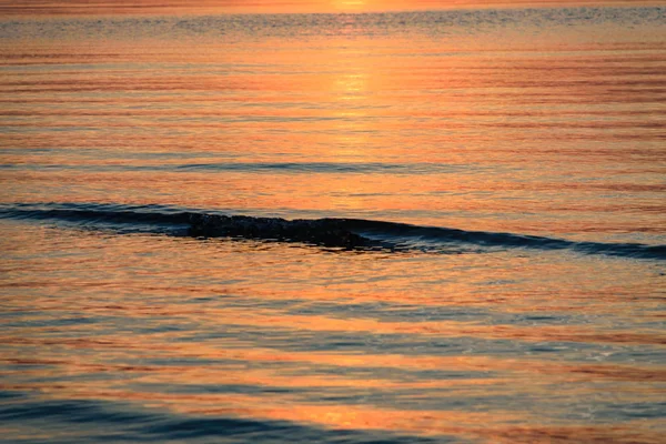 Pôr Sol Beatiful Mar Baltic Com Nuvens Densas Ondas Pequenas — Fotografia de Stock