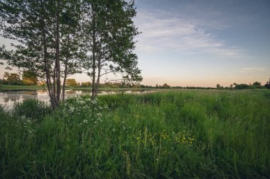 ağaç siluetleri ve arka planda kızıl gökyüzü göl kenarında renkli günbatımı