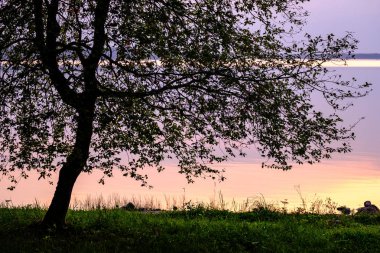 ağaç siluetleri ve arka planda kızıl gökyüzü göl kenarında renkli günbatımı