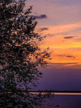 ağaç siluetleri ve arka planda kızıl gökyüzü göl kenarında renkli günbatımı