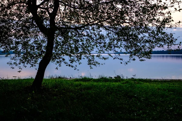 Färgsprakande Solnedgång Vid Sjön Med Träd Siluetter Och Röd Himmel — Stockfoto