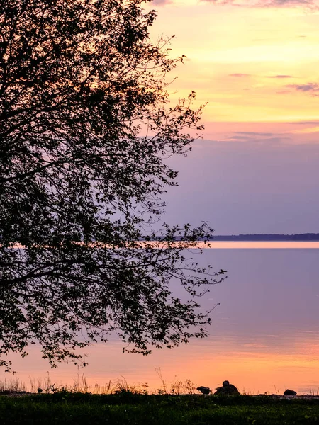 Färgsprakande Solnedgång Vid Sjön Med Träd Siluetter Och Röd Himmel — Stockfoto