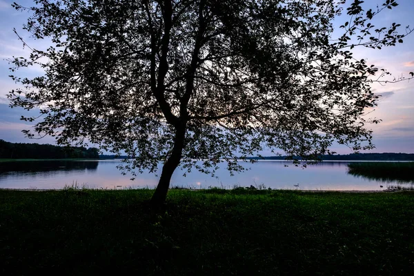 Färgsprakande Solnedgång Vid Sjön Med Träd Siluetter Och Röd Himmel — Stockfoto