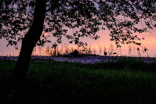 Färgsprakande Solnedgång Vid Sjön Med Träd Siluetter Och Röd Himmel — Stockfoto