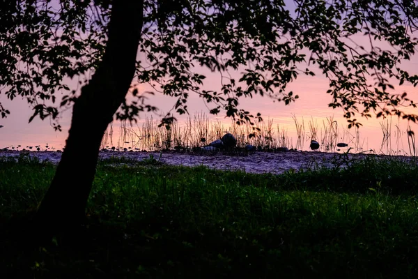 Färgsprakande Solnedgång Vid Sjön Med Träd Siluetter Och Röd Himmel — Stockfoto