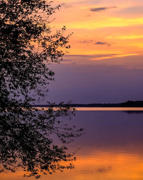 Färgsprakande Solnedgång Vid Sjön Med Träd Siluetter Och Röd Himmel — Stockfoto