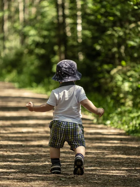 Pequeño Bebé Caminando Sendero Naturaleza Evento Senderismo Bosque Soleado Imagen de stock