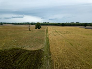 drone görüntü. kırsal alan alanları ve ormanlar dramatik fırtına bulutları oluşturan altında hava görünümünü. yaz günü Letonya