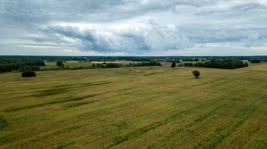 drone görüntü. kırsal alan alanları ve ormanlar dramatik fırtına bulutları oluşturan altında hava görünümünü. yaz günü Letonya