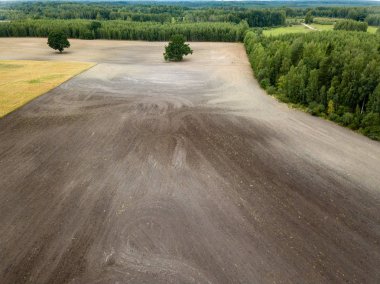 drone görüntü. kırsal alan alanları ve ormanlar dramatik fırtına bulutları oluşturan altında hava görünümünü. yaz günü Letonya