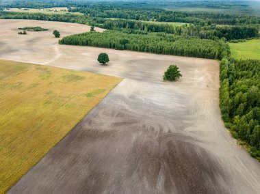 drone görüntü. kırsal alan alanları ve ormanlar dramatik fırtına bulutları oluşturan altında hava görünümünü. yaz günü Letonya