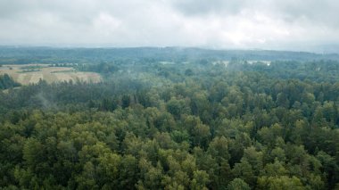 drone görüntü. alanları ve ormanları ile kırsal alan hava görünümünü. dokulu arka plan. Letonya güneşli sonbahar günü