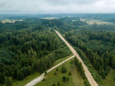 drone görüntü. kırsal çakıl yol yeşil orman ve ağaçları ile yukarıdan gölgelerde güneşli yaz günü hava görünümünü. Letonya