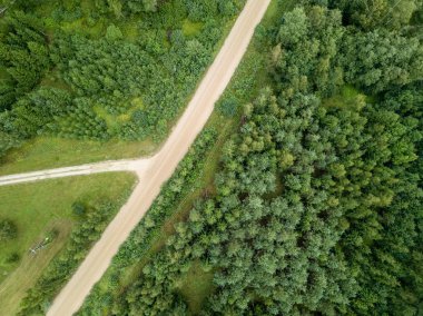 drone görüntü. kırsal çakıl yol yeşil orman ve ağaçları ile yukarıdan gölgelerde güneşli yaz günü hava görünümünü. Letonya