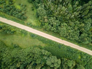 drone görüntü. kırsal çakıl yol yeşil orman ve ağaçları ile yukarıdan gölgelerde güneşli yaz günü hava görünümünü. Letonya