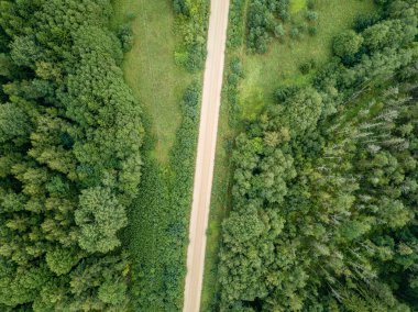 drone görüntü. kırsal çakıl yol yeşil orman ve ağaçları ile yukarıdan gölgelerde güneşli yaz günü hava görünümünü. Letonya