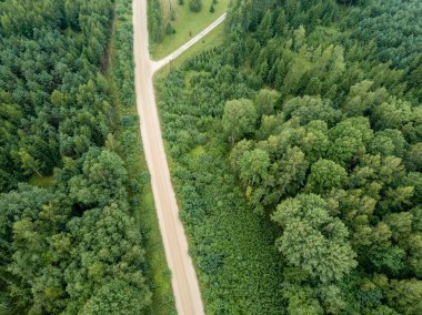 drone görüntü. kırsal çakıl yol yeşil orman ve ağaçları ile yukarıdan gölgelerde güneşli yaz günü hava görünümünü. Letonya