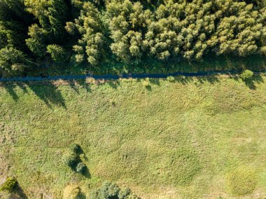 drone görüntü. alanları ve ormanları ile kırsal alan hava görünümünü. dokulu arka plan. Letonya güneşli sonbahar günü