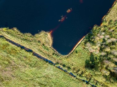 drone görüntü. alanları ve Orman Gölü ile kırsal alan hava görünümünü. güneşli bir günde Letonya