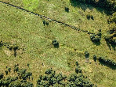 drone görüntü. alanlar ve yalnız ağaçlar ile kırsal alan hava görünümünü. dokulu arka plan, Letonya güneşli bir günde